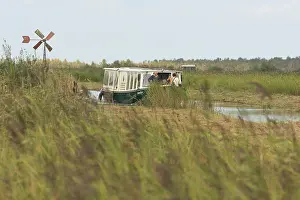 Wetland Landscape Drucke: De Weerribben