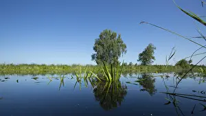 Bilder Datiert 31. Mai 2014: De Weerribben