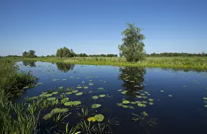 Bilder Datiert 31. Mai 2014: De Weerribben
