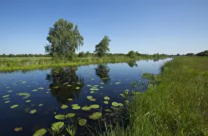 Bilder Datiert 31. Mai 2014: De Weerribben