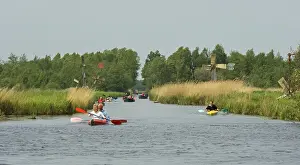 Europe Nature Reserve Drucke: De Weerribben