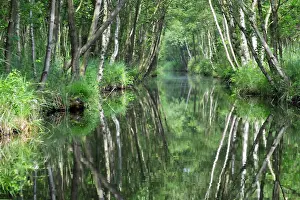 National Park Landscape Photos Drucke: Weerribben
