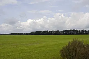 Bilder Datiert 1. September 2007: Weiland, Meadow