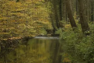 Weldammerbeek