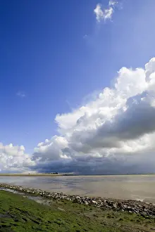 Dutch Coastline Scenery Drucke: Westerschelde