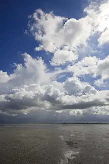 Low Tide Netherlands Drucke: Westerschelde