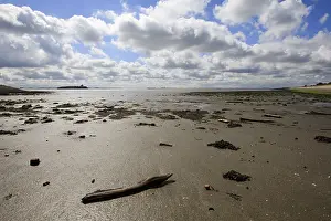 Westerschelde