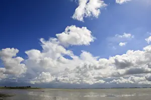 Westerschelde