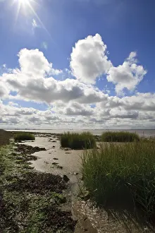 Westerschelde