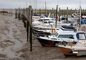 November Drucke: Westerschelde, Niedrigwasser.