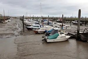 November Drucke: Westerschelde, Niedrigwasser