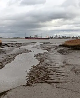 November Drucke: Die Westerschelde, Niedrigwasser.