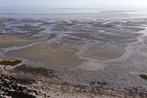 Gerahmter Druck : Westerschelde, Niedrigwasser. Gerahmter Druck : Westerschelde, Niedrigwasser.