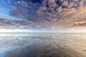 Low Tide Mudflats Europe Drucke: the Wierumerwad