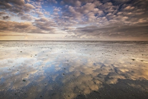 Low Tide Mudflats Europe Drucke: the Wierumerwad