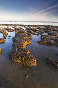 Wadden Sea Coastline Drucke: Wierumerwad, Waddenzee
