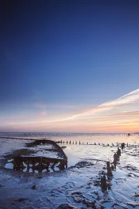 Europe Coastal Scenery Drucke: Wierumerwad, Waddenzee