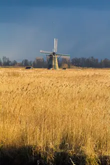 Netherlands Tourist Attraction Drucke: Windmills at Kinderdijk