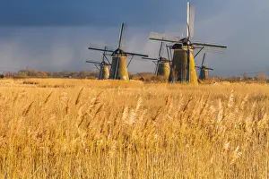 Netherlands Tourist Attraction Drucke: Windmills at Kinderdijk