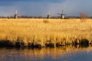 Netherlands Tourist Attraction Drucke: Windmills at Kinderdijk