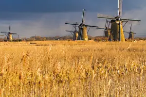 Netherlands Tourist Attraction Drucke: Windmills at Kinderdijk