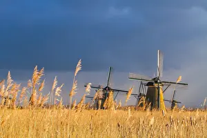 South Holland Tourist Attraction Drucke: Windmills at Kinderdijk
