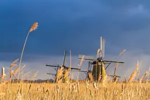 Holland Tourist Attraction Drucke: Windmills at Kinderdijk