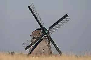 Windmill Netherlands Drucke: Windmolen, Windmill