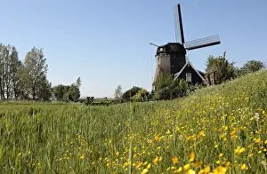 Windmill Netherlands Drucke: Windmolen, Windmill