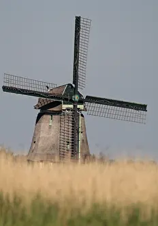 Gerahmter Druck : Windmühle. Die Menningweermolen bei Grootschermer Noord-Holland Niederlande Gerahmter Druck : Windmühle. Die Menningweermolen bei Grootschermer Noord-Holland Niederlande