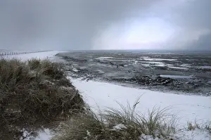 Dezember Drucke: Winter