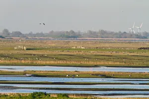 Bilder Datiert 4. Mai 2016: Workumerwaard, Niederlande