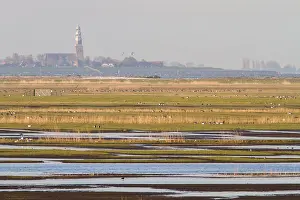 Bilder Datiert 4. Mai 2016: Workumerwaard, Niederlande