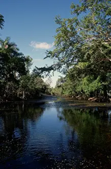 Wetland Landscape Photography Drucke: Zapata Marsh Cuba