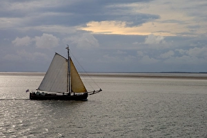 September Drucke: Ruderkahn, Segelschiff