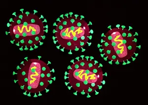 HIV Virus Drucke: AIDS viruses (HIV), computer artwork