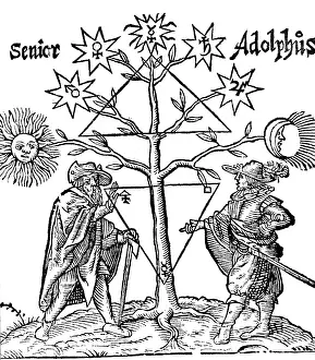 Alchemisches Himmelsbaum