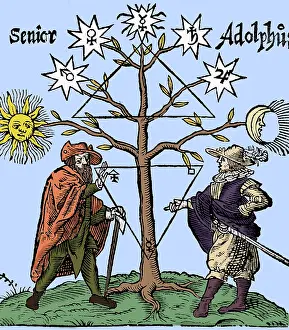 Astrology Symbols Drucke: Alchemical Celestial Tree
