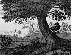 Historical Engravings Drucke: Alchemy Illustration