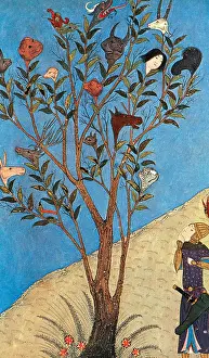 Historical Figure Drawings Drucke: Alexander the Great at the Oracular Tree