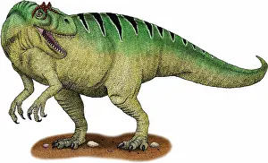 Jurassic Dinosaurs Drucke: Allosaurus