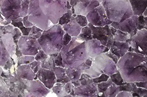Semi Precious Stones Drucke: Amethyst
