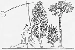 Historical Artwork Drucke: Ancient Well