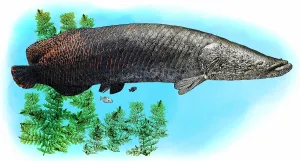 Amazon River Animals Drucke: Arapaima