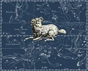 Aries Constellation Drucke: Aries Constellation, 1687