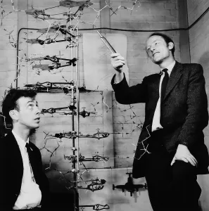 DNA Drucke: Watson und Crick mit DNA-Modell