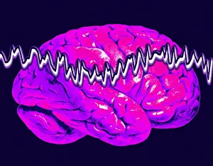 Human Brain Illustration Drucke: Brainwaves