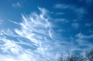 Cirrus Clouds Drucke: Cirrus Cloud
