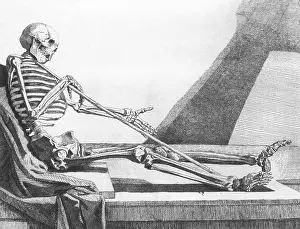 Human Skeleton Anatomy Drucke: Death Rests