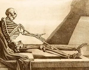 Anatomy Illustrations Drucke: Death Rests